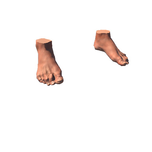 Detective_foot_01 Variant